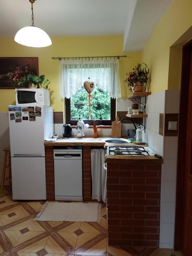 Bieszczadzki Dworek Ustrzyki Dolne Exterior foto